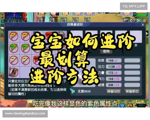 梦幻西游宝宝快速练级最佳地点推荐及经验分享 梦幻西游宝宝快速练级最佳地点推荐及经验分享